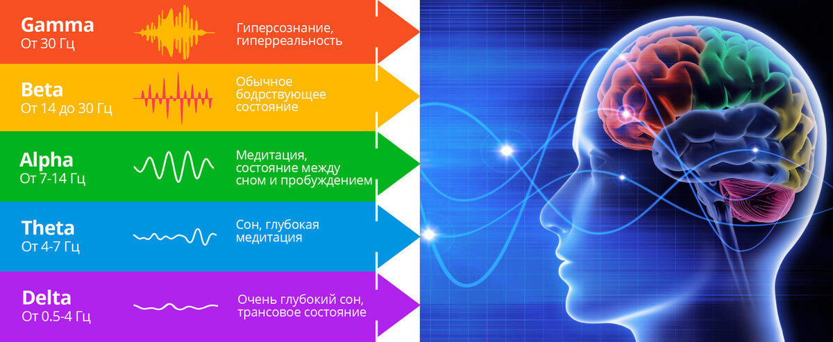 Фотография взята из источника yandex.ru