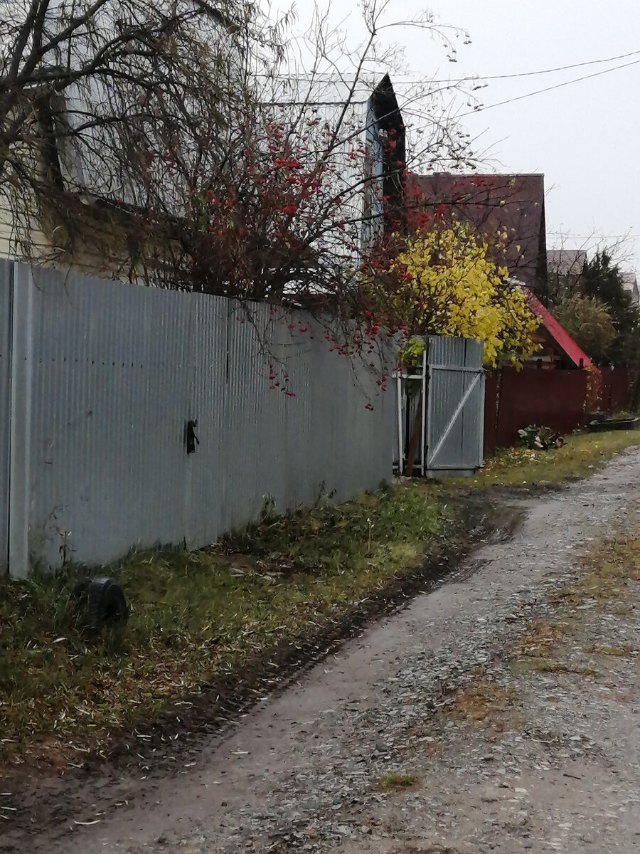 Все ворота у соседей открыло ветром. 