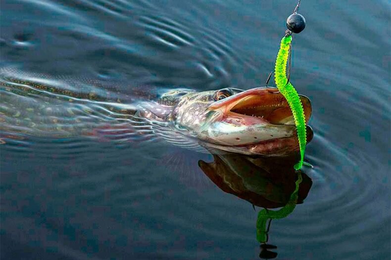 Плюсы и минусы силиконовых приманок 