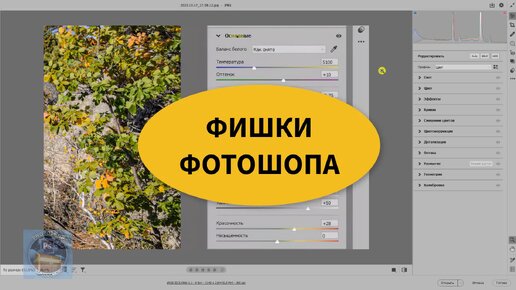 Обновленная Camera Raw 16.0. Обзор новинок. Стоит устанавливать или нет?