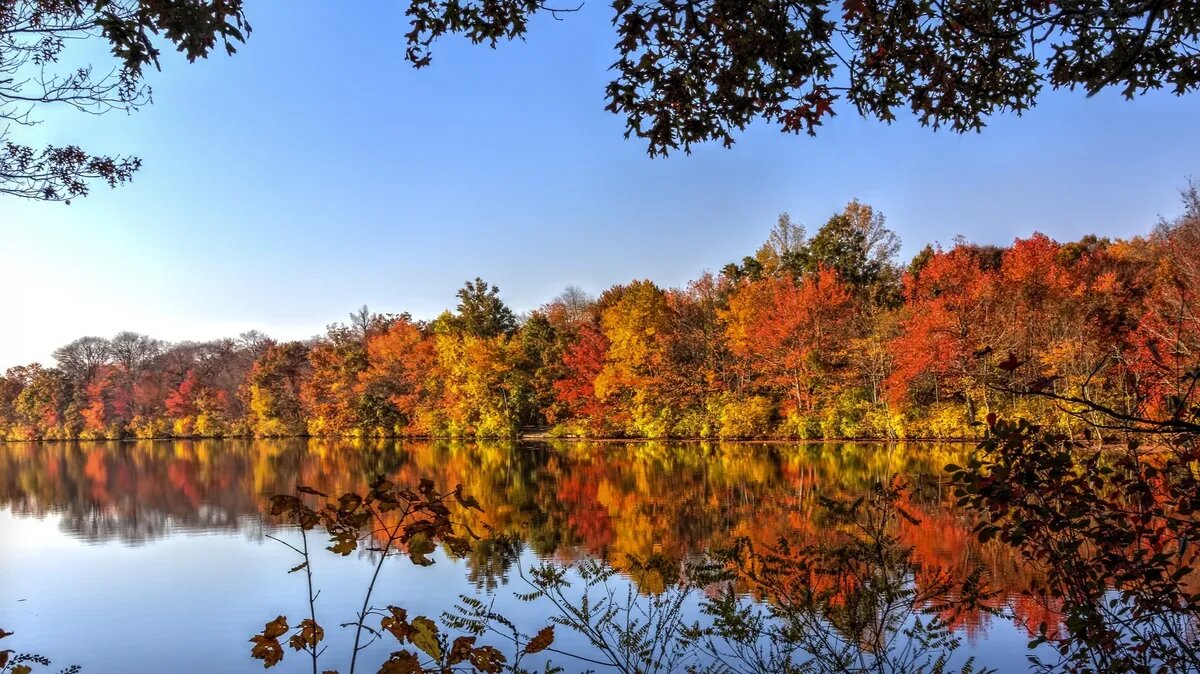 Приближается осенний праздник Казанской иконы Боижией Матери. Фото: pxhere.com