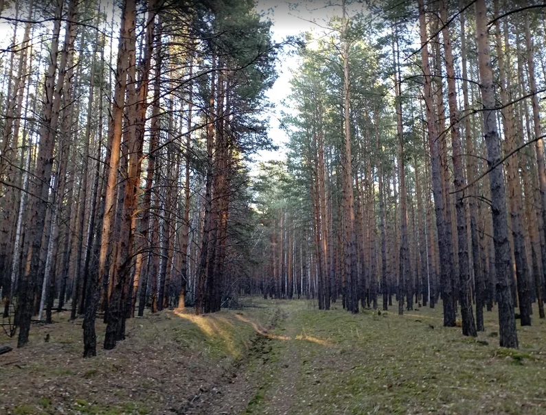 в 19-м веке это была оживленная дорога