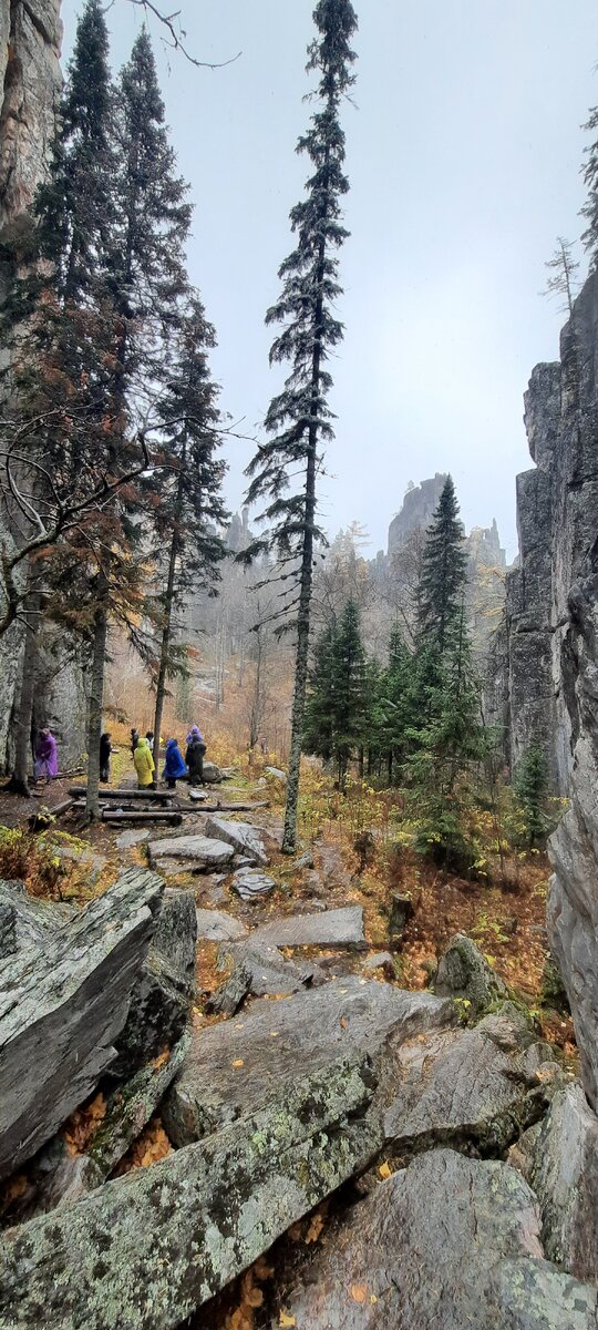 Фото с зубчаток