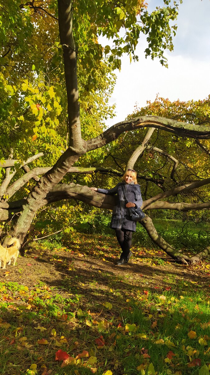 Приветствую всех на моем новом канале 'Еще не вечер".