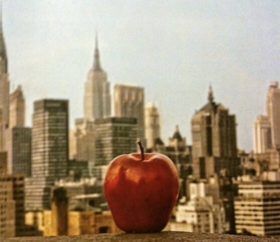 Почему Нью-Йорк называют «Большим Яблоком»