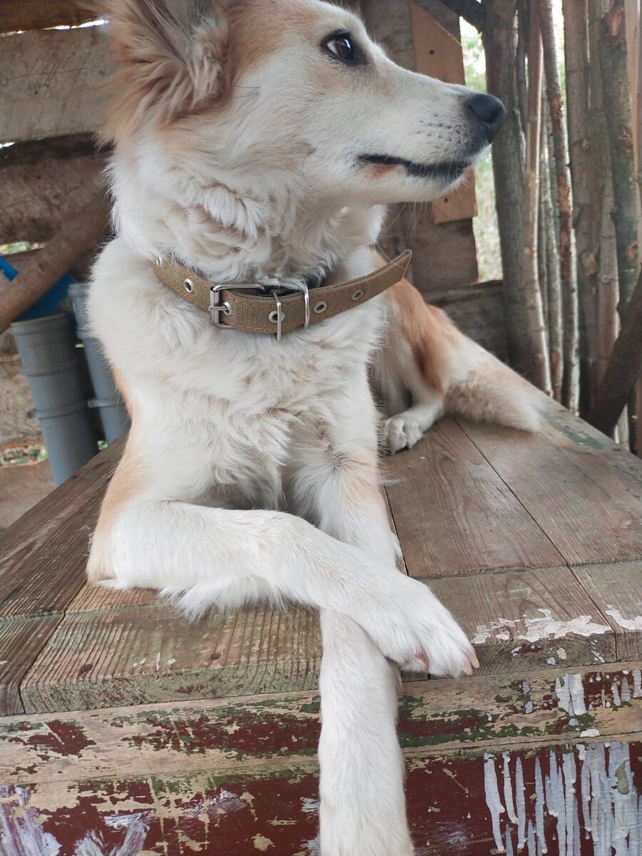 Команды отработали - отдыхаем)))