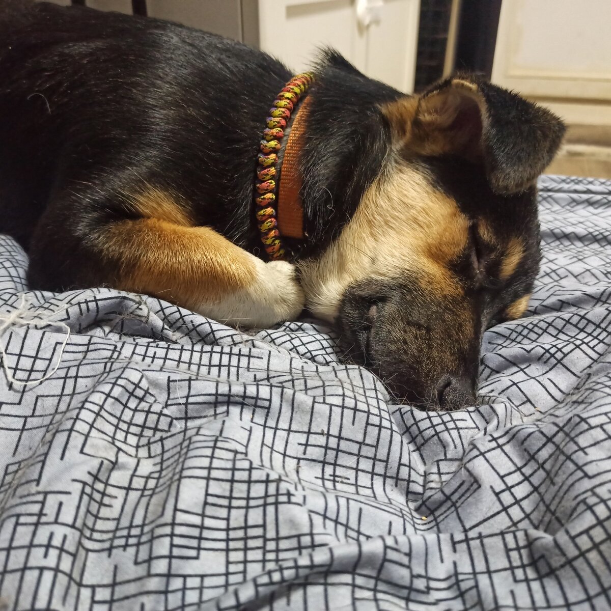 Мы немножко приболели