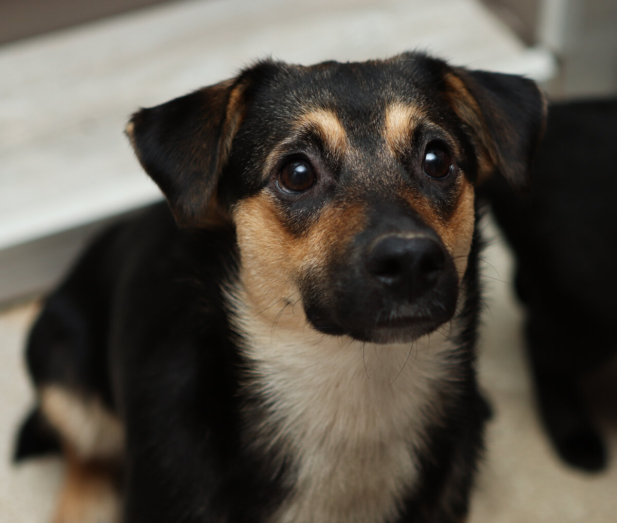 Такой поверишь))