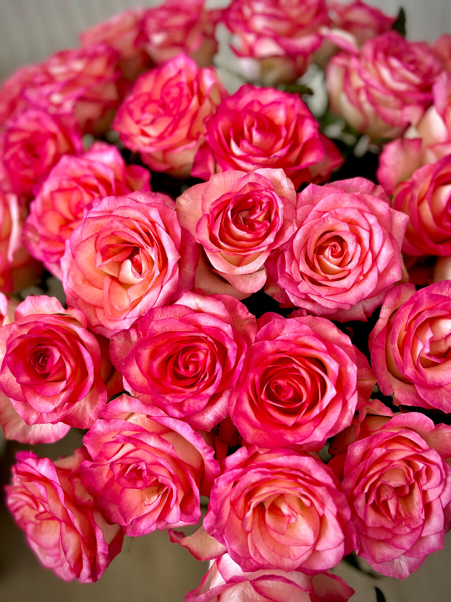 Букеты роз - это красиво, но ненадолго(((