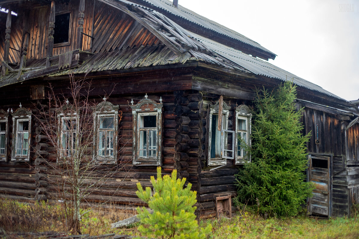 Таинственная тайга Унжлага. Экспедиция на внедорожниках | Света Шуга | Дзен