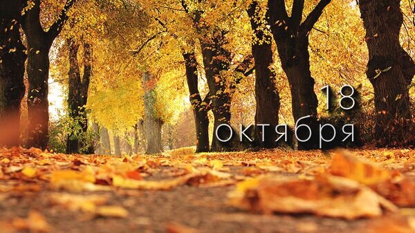    © Photo : Pixabay from Pexels