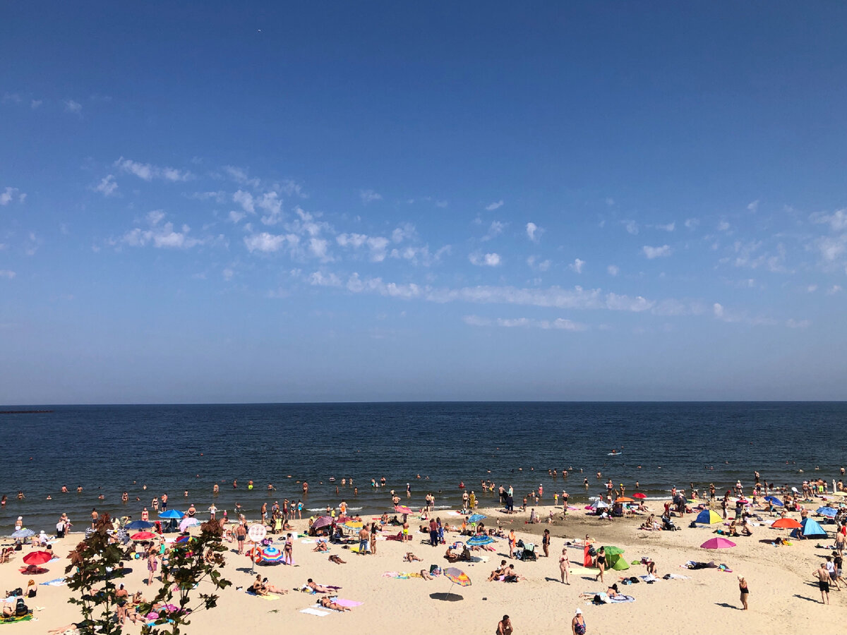 Вид на пляж в Пионерском с кругового движения.