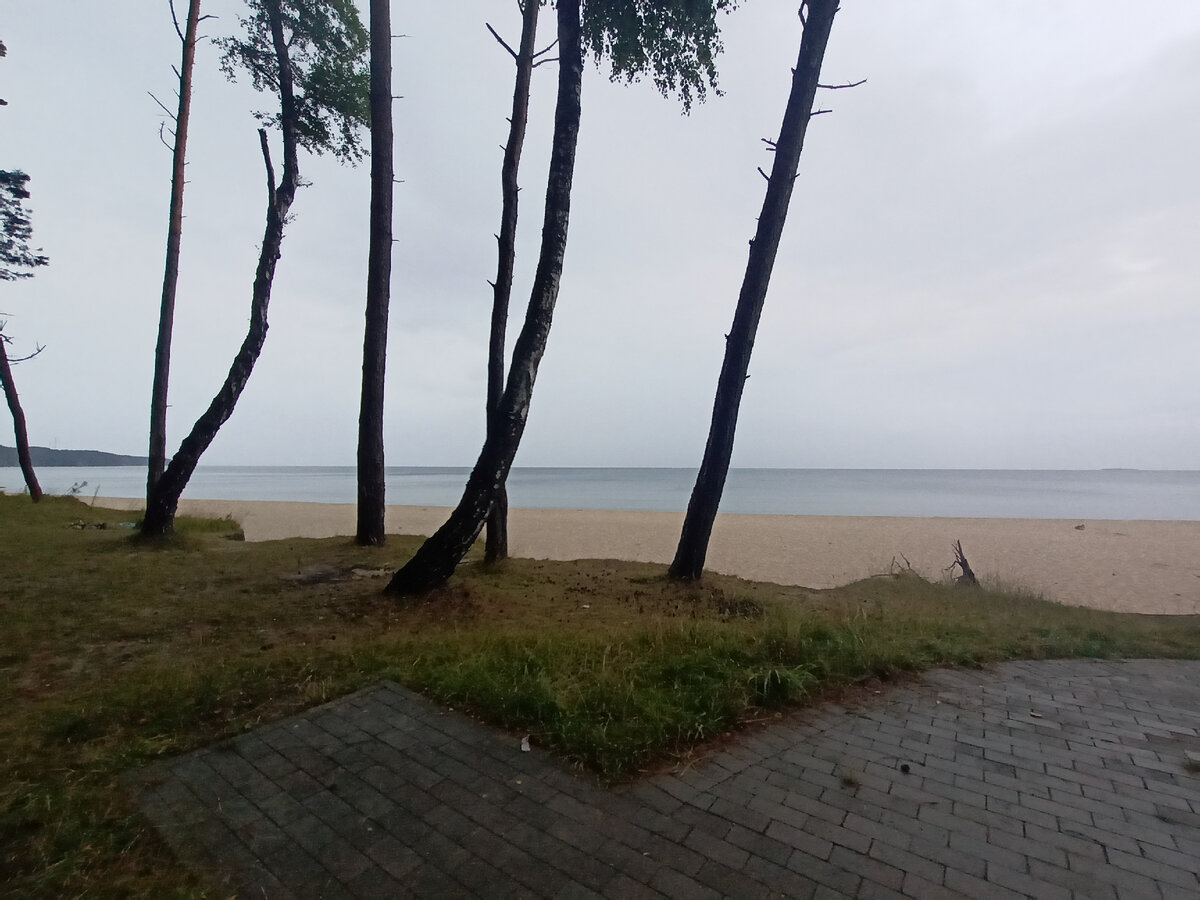 Хмурое утро