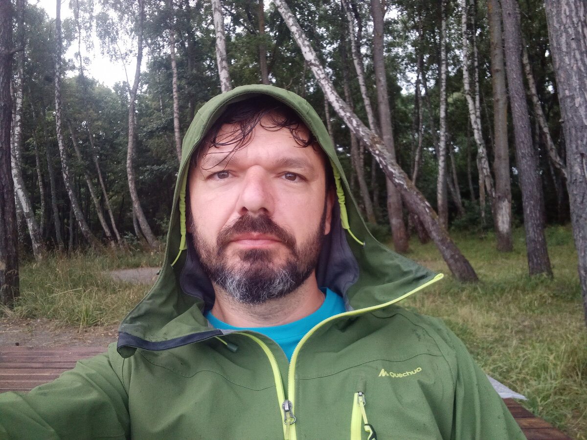 Раздумья о том, что же делать. Ехать или не ехать - вот в чем вопрос.