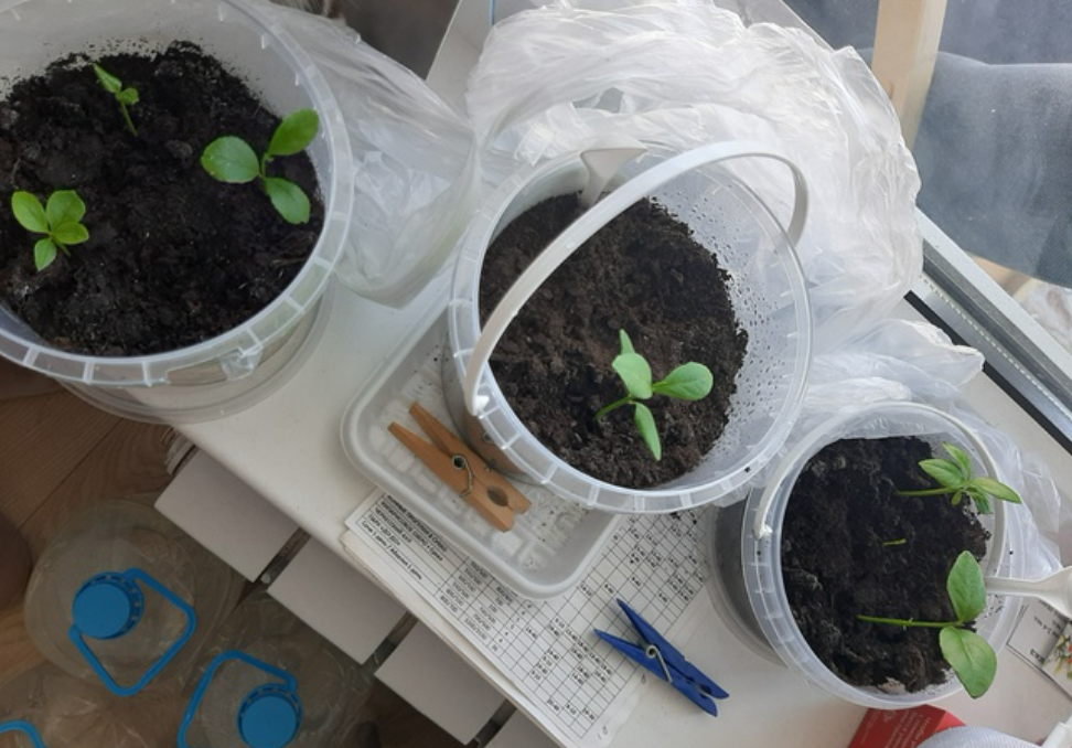 Скрин из моих статей в Паблико