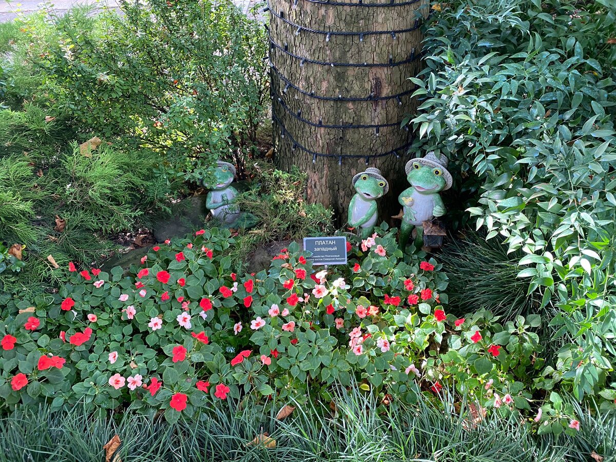 Я к этой красоте не имею никакого отношения...