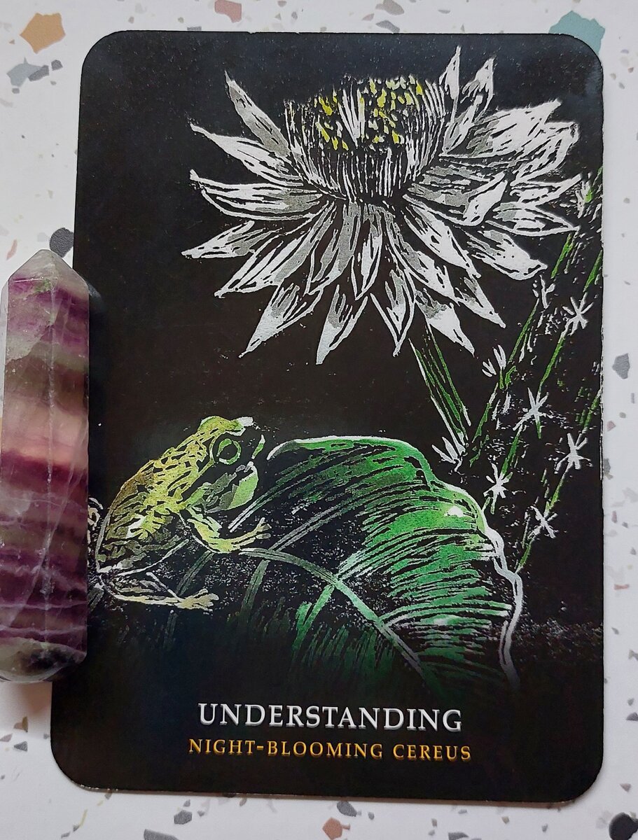 Колода: “Flowers of the Night” by Cheralyn Darcey