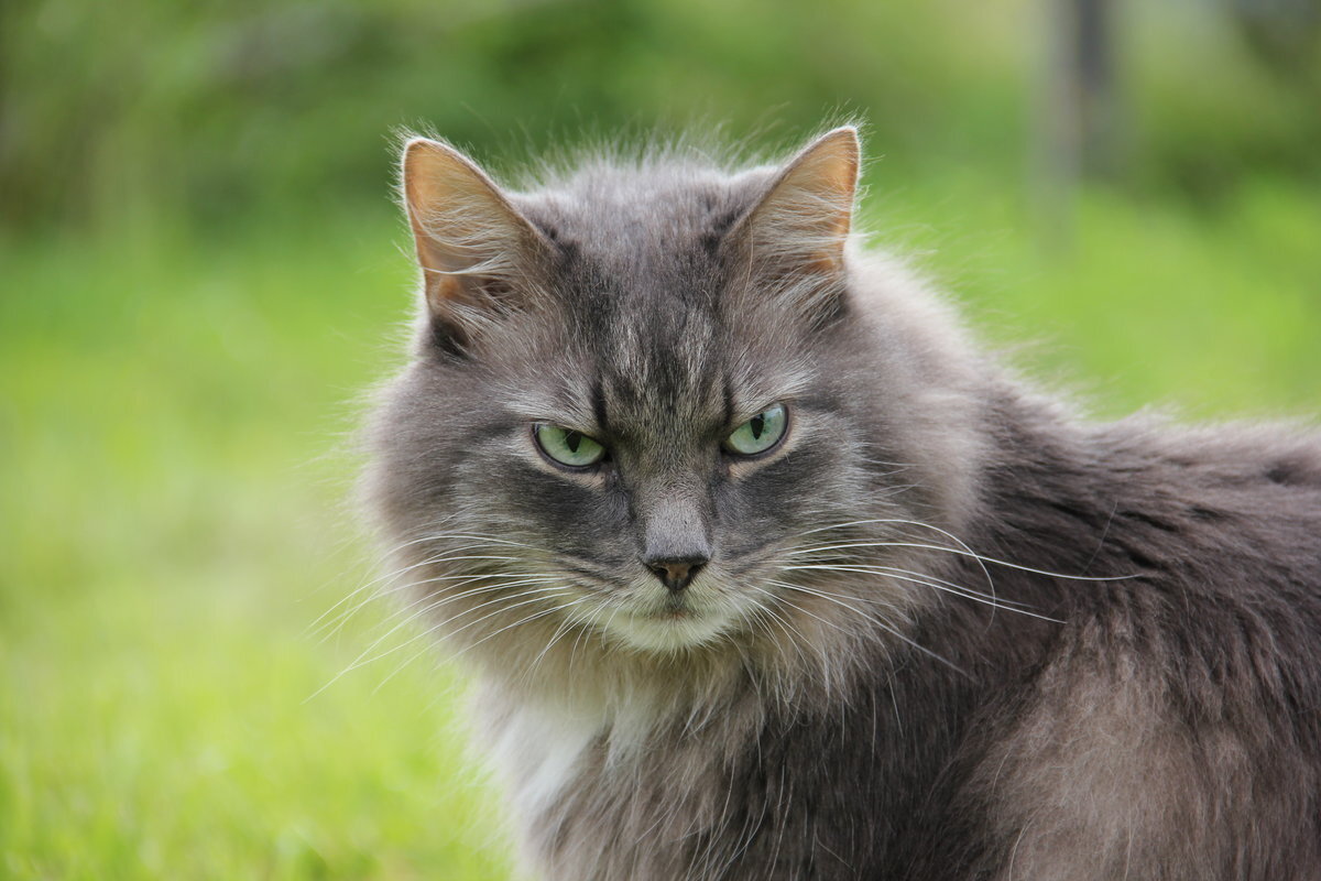 Источник: Яндекс.Картинки