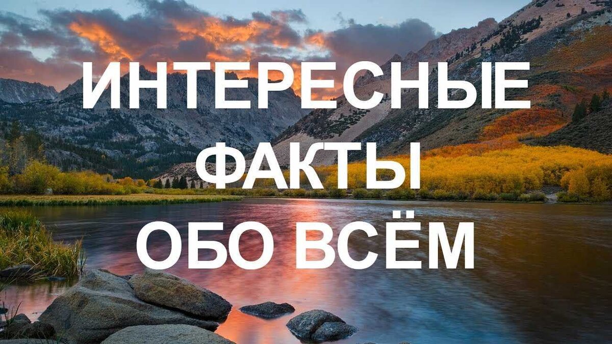 10 удивительных фактов о сновидениях, которые вы не знали