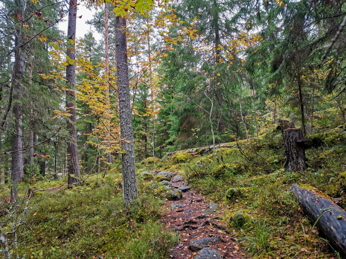 Тропа у озера Ястребиное