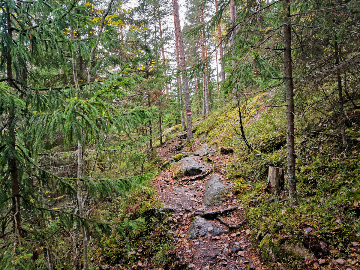 Тропа у озера Ястребиное