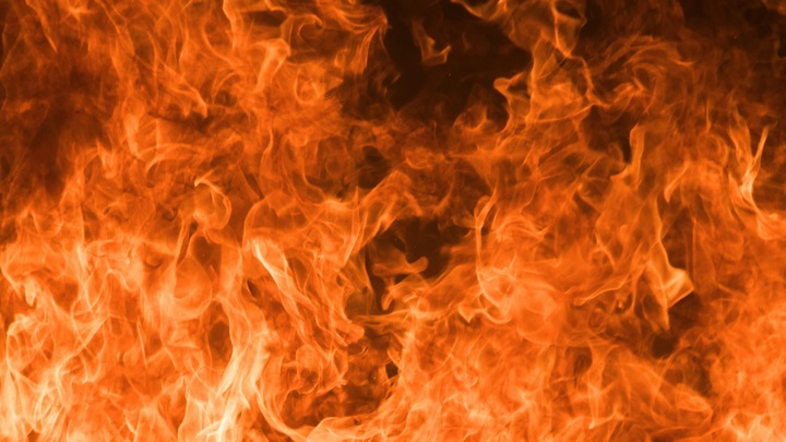 ФОТО: FLPA/WAYNE HUTCHINSON/GLOBALLOOKPRESS 