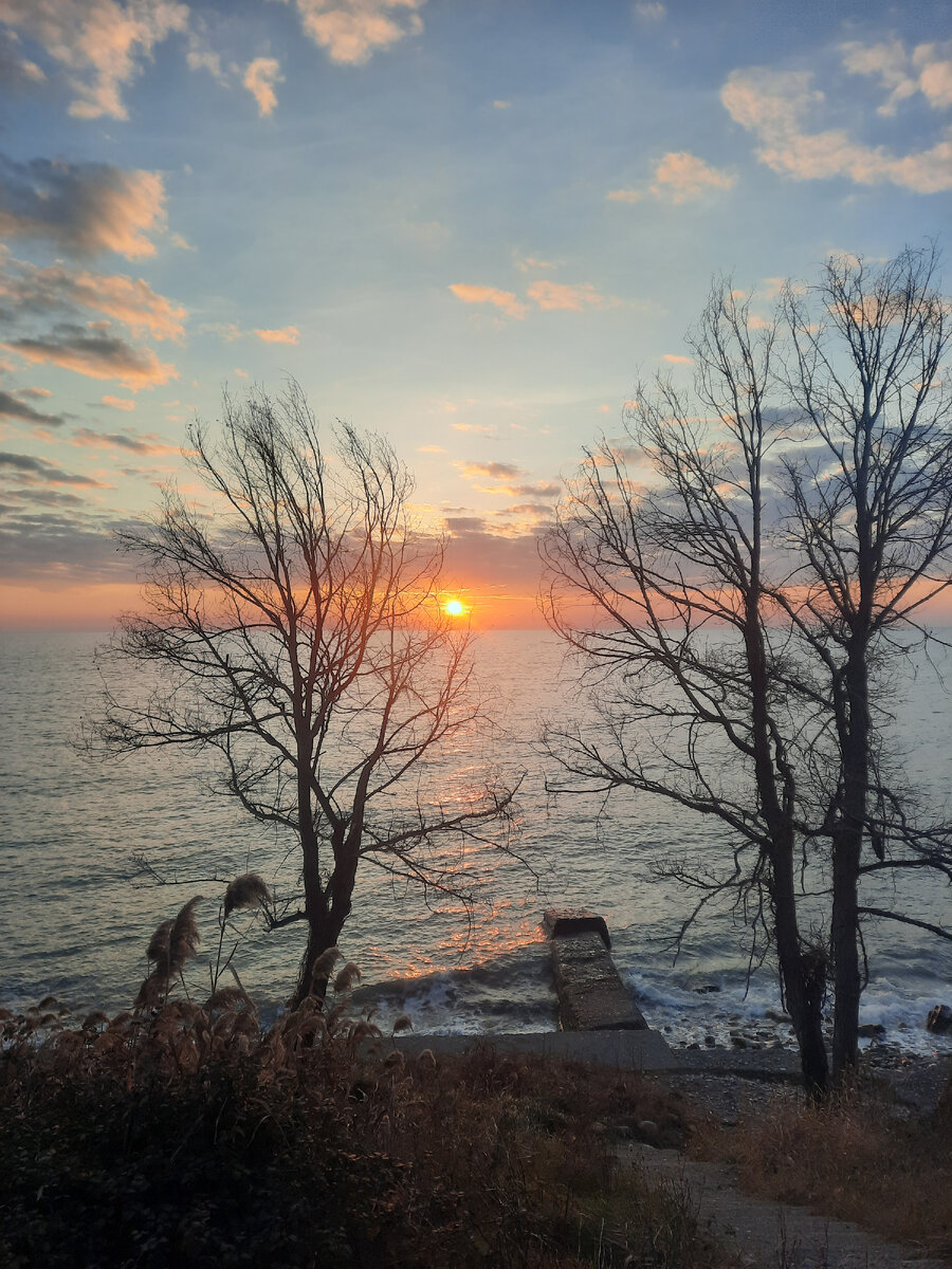 Декабрь 22 год