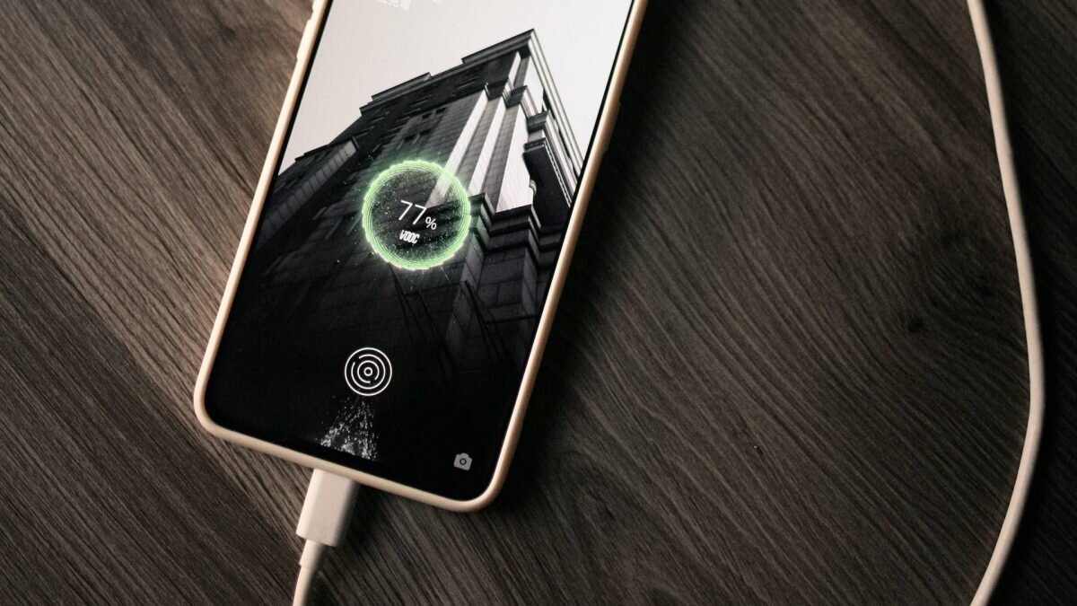    Фото: Unsplash Август Макаров