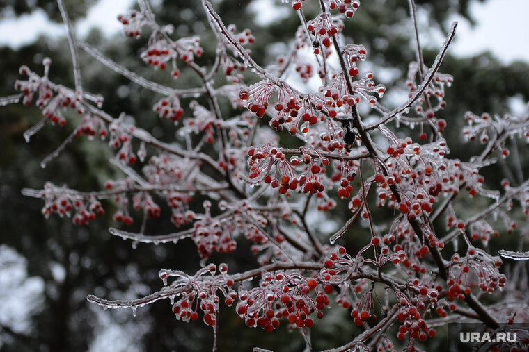    В ЯНАО к субботе температура воздуха стабильно перешагнет через нулевую отметку