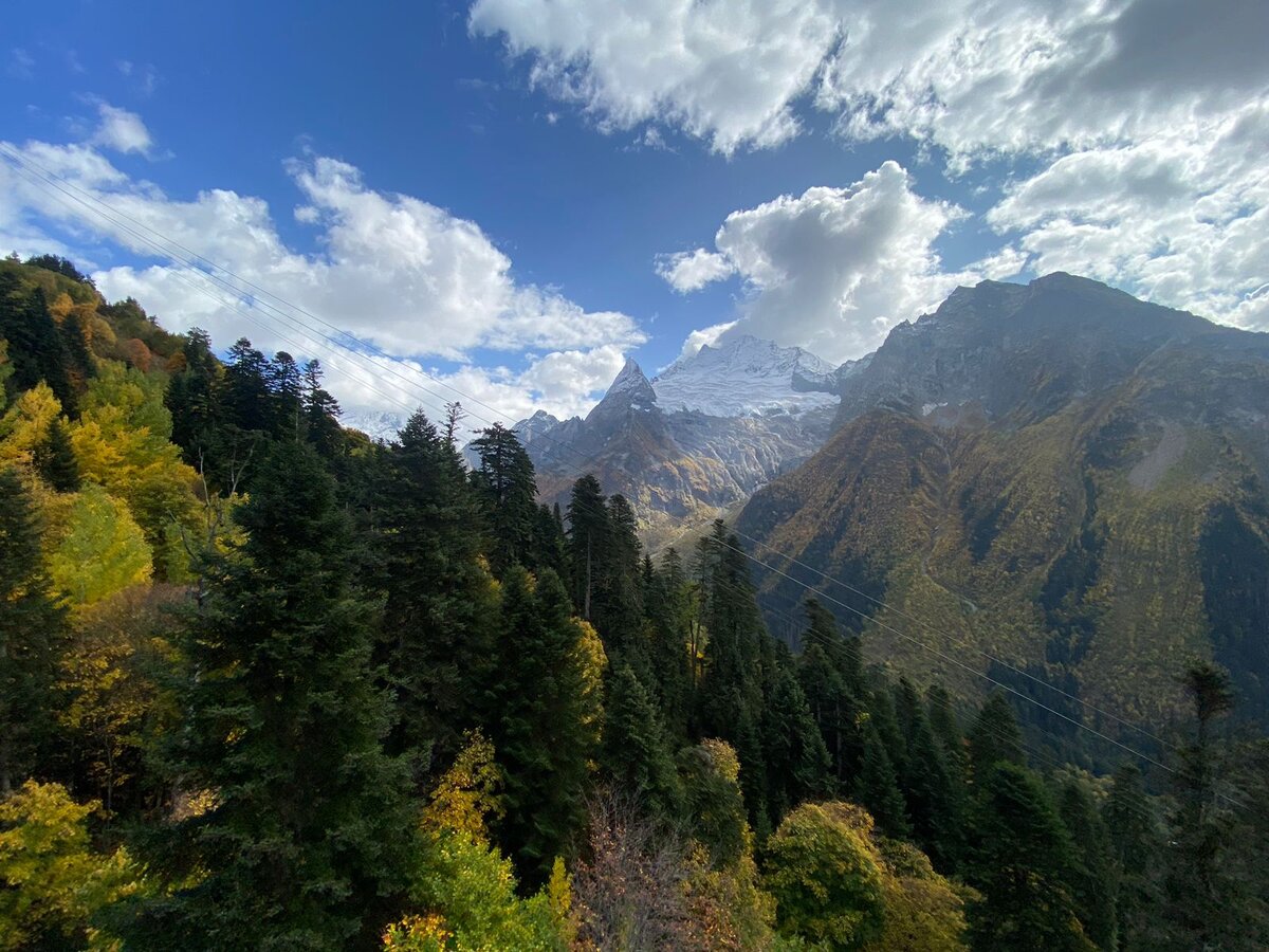 Природа, самый лучший творец...