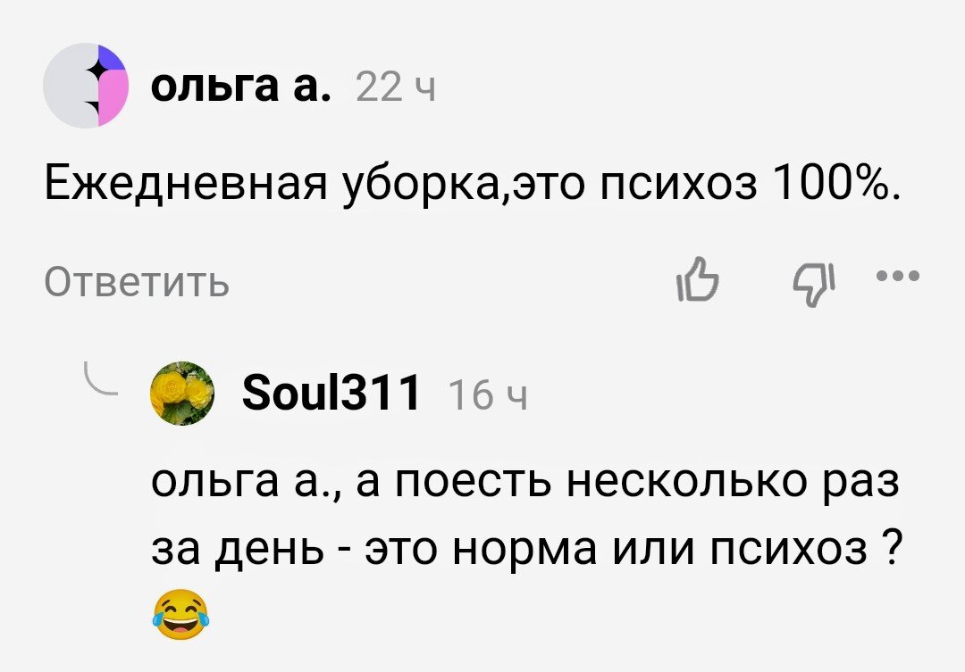 Ежедневной уборкой только психи занимаются | Алёна Р | Дзен