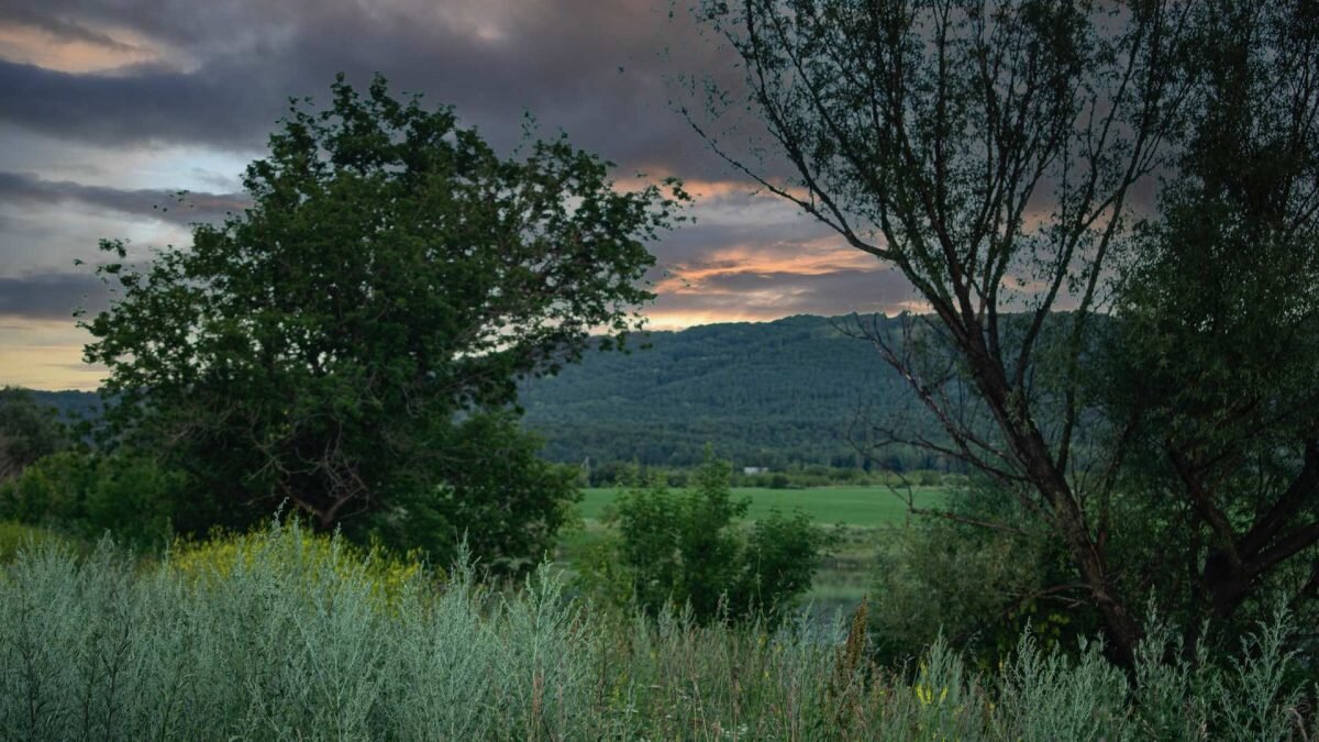    Фото: Unsplash Август Макаров