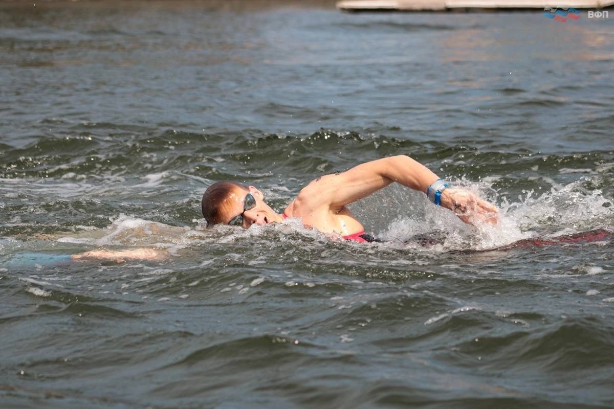 Александр Степанов