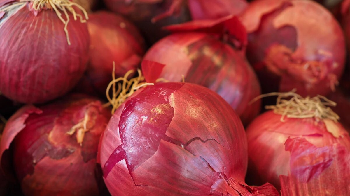 Фото: pxhere.com