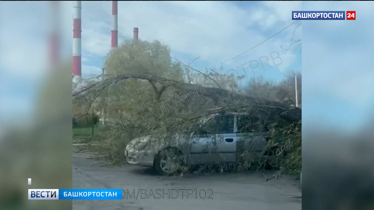    Три человека пострадали за сутки в Башкирии из-за непогоды