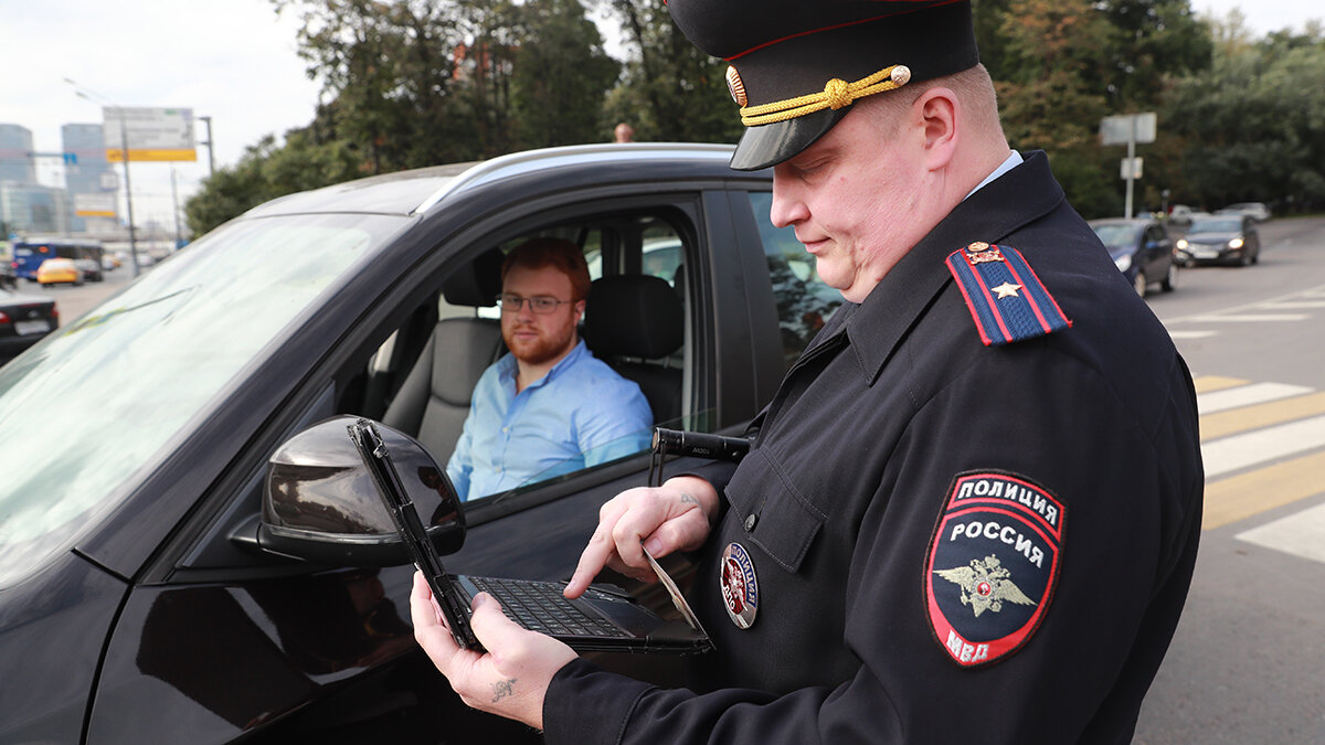 Водителей заставили поменять права. Сколько на это дали времени | РБК  Autonews | Дзен