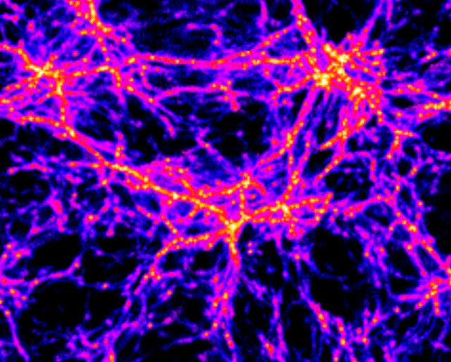 Модель волокон ранней структуры Вселенной.  Credit: https://www.science.org/