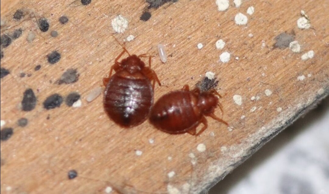 Источник фото: Daily Mail