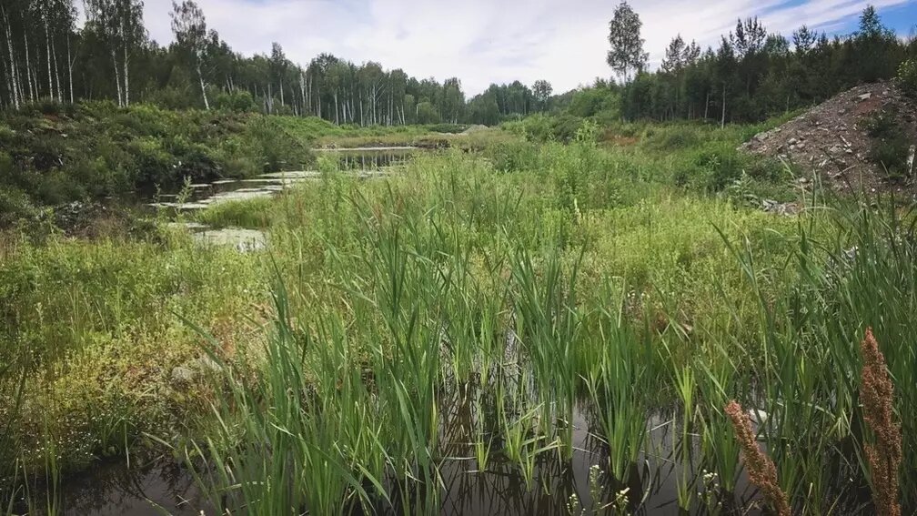     В Финляндии планируют приступить к началу строительства забора на границе с Россией, сообщают в пограничной охране государства.