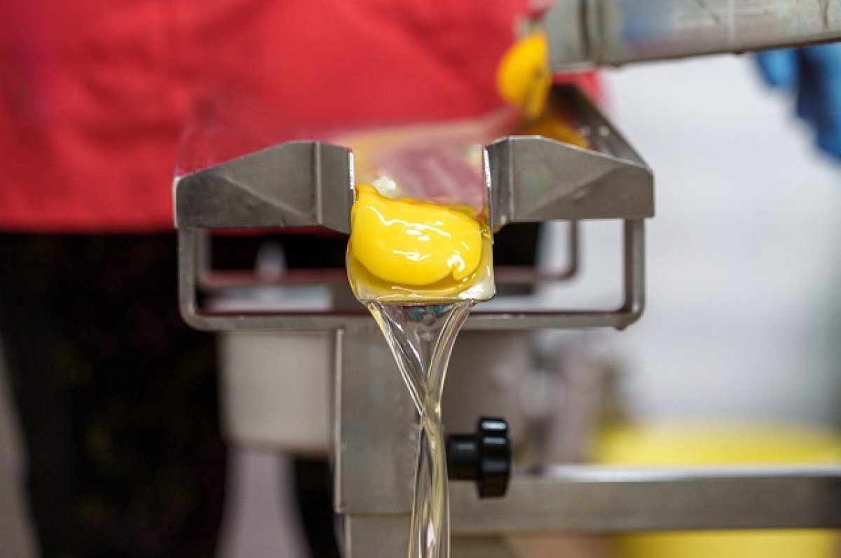    Камчатцам сказали, что такое меланж и почему лучше покупать яйца в бутылке