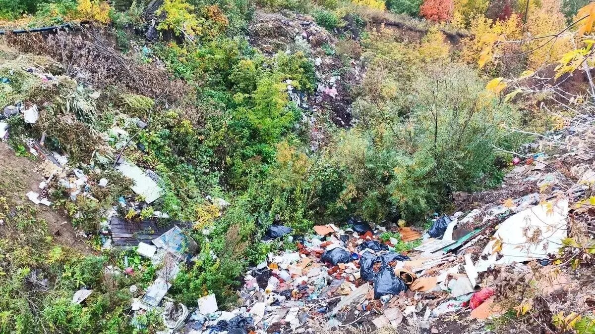     Омичи пожаловались на помойку рядом с садовым товариществом «Гидротехник» в минприроды.