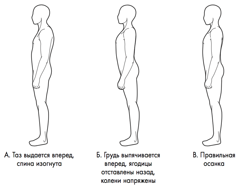 БОЛЬ В СПИНЕ | Реабилитация и спортивная медицина | Дзен