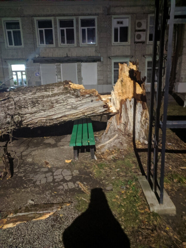    Упавшие деревья и сорванные крыши: последствия непогоды в Кировской области. Фото