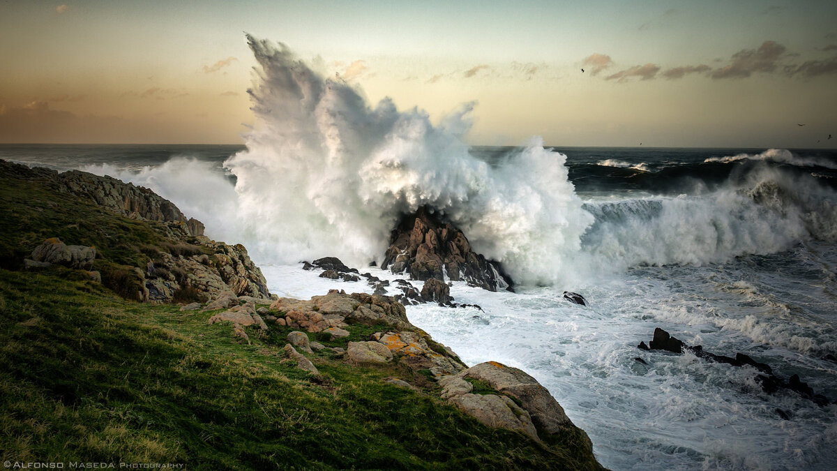 Изображение взято с сервиса Яндекс картинки.