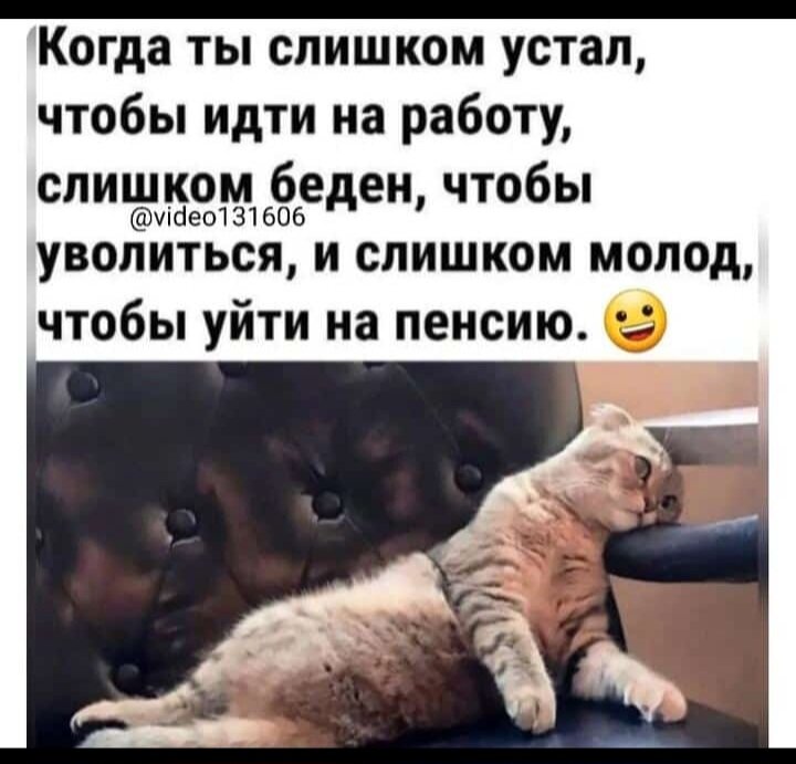 Это про меня😄