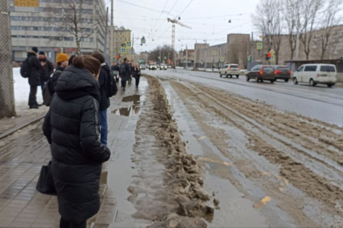    Опубликованы даты установления снежного покрова в Новосибирске за 5 лет