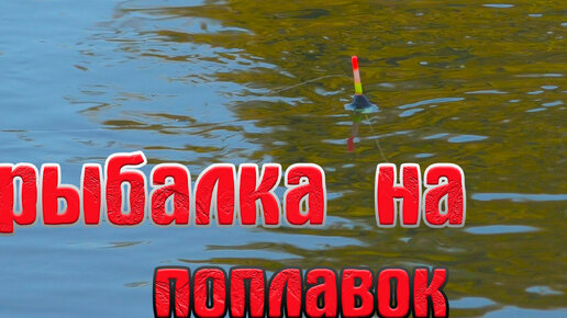 Рыбалка на речке в новых местах в октябре | Рыбалка с Олегом | Дзен