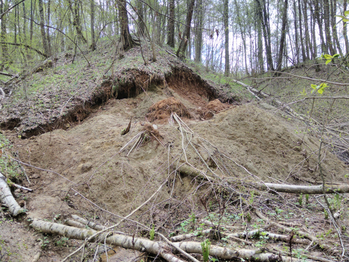 Местонахождение Павловское, в котором был обнаружен рак-отшельник, в 2021 году/фото Леонида Барсукова