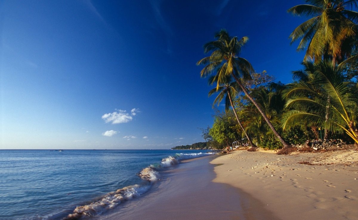 Картинка найдена на просторах интернета, ссылка https://yandex.ru/images/search?from=tabbar&img_url=https%3A%2Fi%2F.pinimg.com%2Foriginals%2Fa8%2F34%2Fа3f%2Fa83р43f81с22879b5e7bd53274cf0591a19.jpg&lr=47&pos=15&rpt=simage&text=%D1%86%D0%B2%D0%B5%D1%82%D1%8B%20%D0%BA%D1%80%D1%83%D0%BF%D0%BD%D0%BE%20%D1%84%D0%BE%D1%82%D0%BE