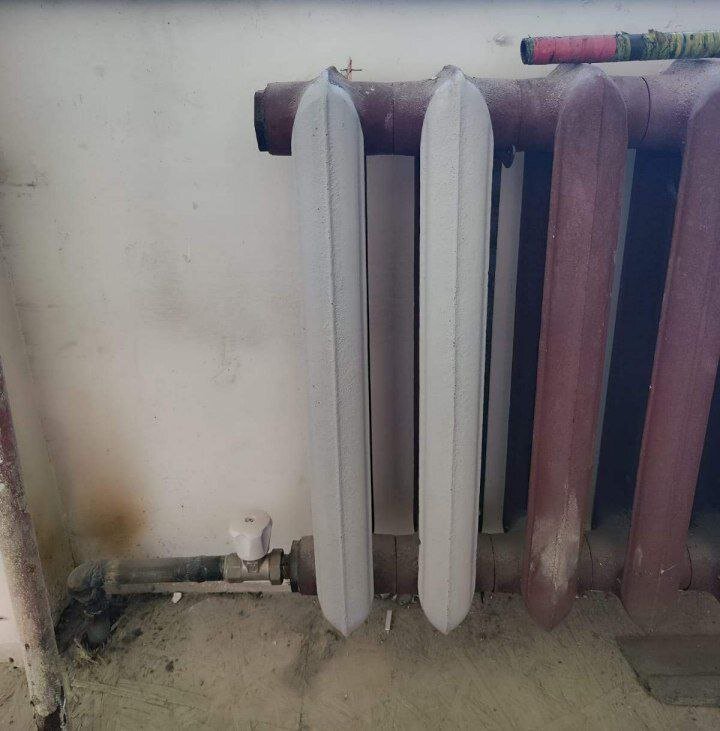    Фото: правительство Амурской области